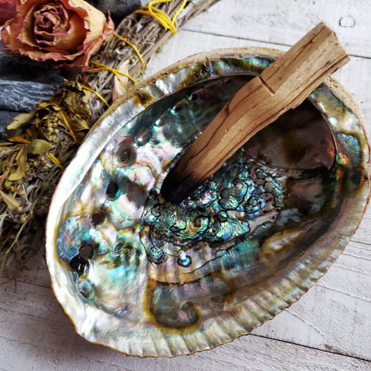 there is a wooden stick in a shell with a flower